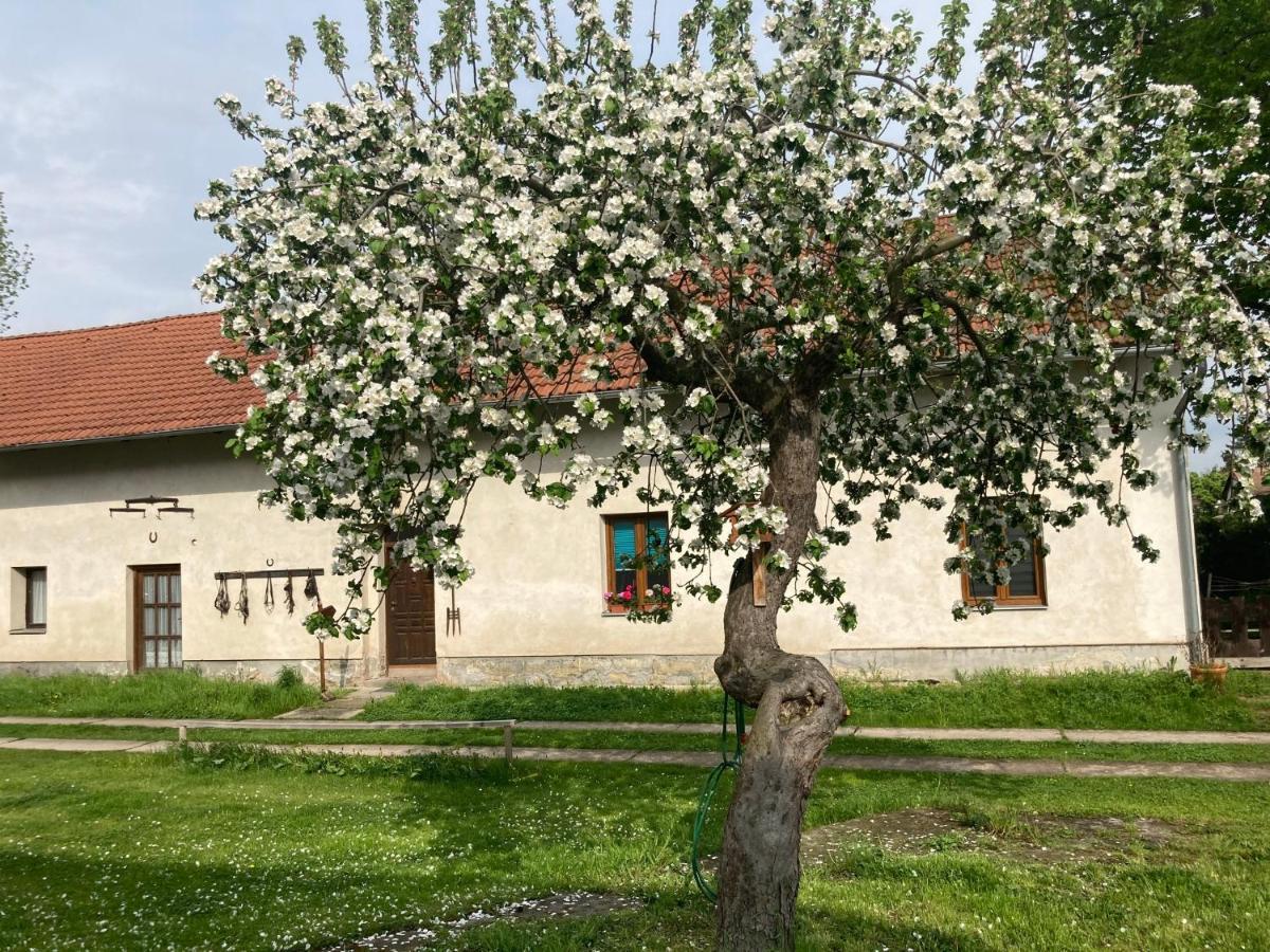 Prijemny Apartman Se Zahradou Ostresany Экстерьер фото